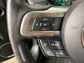Thumbnail of 2019 Dark Highland Green Ford Mustang
