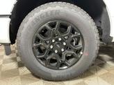Thumbnail of 2025 Oxford White Ford F-150
