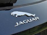 Thumbnail of 2026 Portofino Blue Metallic Jaguar F-PACE