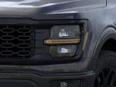 Thumbnail of 2025 Black Metallic Ford F-150