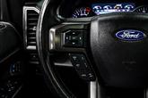 Thumbnail of 2021 Magnetic Ford Expedition Max