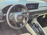 Thumbnail of 2025 Red Honda Accord Hybrid