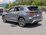 Thumbnail of 2025 Platinum Gray Metallic Volkswagen Tiguan