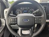 Thumbnail of 2025 Agate Black Metallic Ford F-350