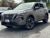 Thumbnail of 2025 Baja Storm Nissan Rogue