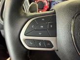 Thumbnail of 2021 Sinamon Stick Dodge Challenger