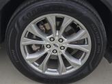 Thumbnail of 2022 White Ford Explorer