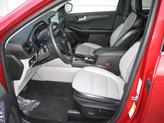 Thumbnail of 2023 RED Ford Escape