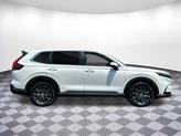 Thumbnail of 2026 Platinum White Pearl Honda CR-V