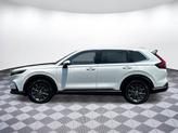 Thumbnail of 2026 Platinum White Pearl Honda CR-V