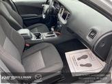 Thumbnail of 2023 Triple Nickel Clearcoat Dodge Charger