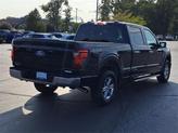 Thumbnail of 2025 Agate Black Metallic Ford F-150