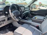 Thumbnail of 2025 Blue Ford F-150