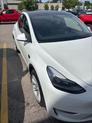 Thumbnail of 2023 Pearl White Multi-Coat Tesla Model Y