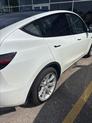 Thumbnail of 2023 Pearl White Multi-Coat Tesla Model Y