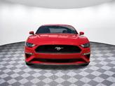 Thumbnail of 2021 Red Ford Mustang