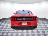Thumbnail of 2021 Red Ford Mustang
