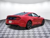 Thumbnail of 2021 Red Ford Mustang