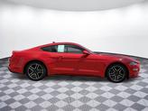 Thumbnail of 2021 Red Ford Mustang