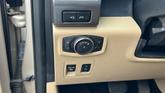 Thumbnail of 2018 Beige / Tan Ford F-150