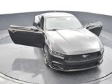 Thumbnail of 2025 Shadow Black Ford Mustang