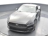 Thumbnail of 2025 Shadow Black Ford Mustang