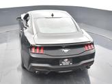 Thumbnail of 2025 Shadow Black Ford Mustang