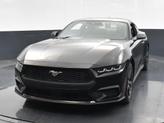 Thumbnail of 2025 Shadow Black Ford Mustang