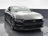 Thumbnail of 2025 Shadow Black Ford Mustang