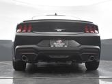 Thumbnail of 2025 Shadow Black Ford Mustang