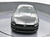 Thumbnail of 2025 Shadow Black Ford Mustang