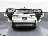 Thumbnail of 2022 Star White Ford Escape