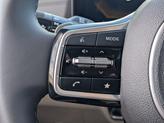 Thumbnail of 2025 Panthera Metal Kia Carnival Hybrid