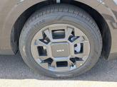 Thumbnail of 2025 Panthera Metal Kia Carnival Hybrid