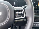 Thumbnail of 2025 Panthera Metal Kia Carnival Hybrid