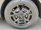 Thumbnail of 2025 Panthera Metal Kia Carnival Hybrid