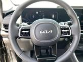 Thumbnail of 2025 Panthera Metal Kia Carnival Hybrid