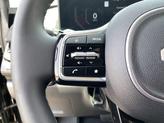Thumbnail of 2025 Panthera Metal Kia Carnival Hybrid
