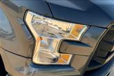 Thumbnail of 2016 Magnetic Metallic Ford F-150