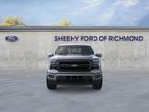 Thumbnail of 2025 Gray Ford F-150