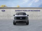 Thumbnail of 2025 Gray Ford F-150