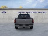 Thumbnail of 2025 Gray Ford F-150
