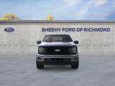 Thumbnail of 2025 Gray Ford F-150