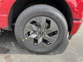 Thumbnail of 2025 Red Ford F-150 Lightning