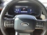 Thumbnail of 2024 Green Ford Expedition
