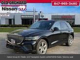 Photo of 2024 Vik Black Genesis GV70
