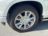 Thumbnail of 2024 Iridescent Pearl Tricoat Chevrolet Silverado 1500