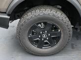 Thumbnail of 2025 Gray Ford Bronco