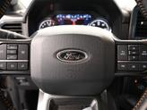 Thumbnail of 2022 Tan Ford F-150