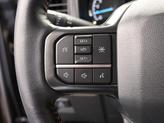 Thumbnail of 2022 Tan Ford F-150